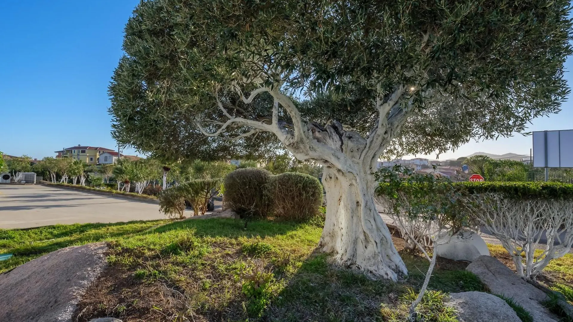 Villa Marconi Apartment 5 Golfo Aranci